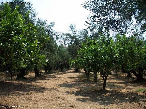 Land - Zakynthos - For Sale - 2