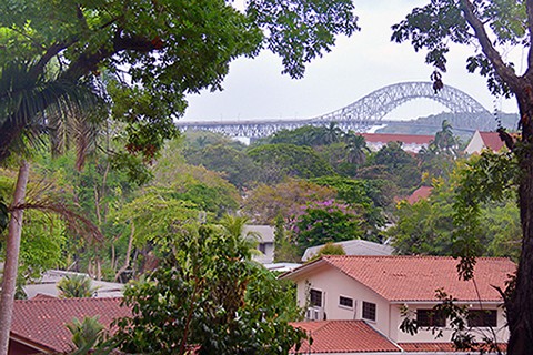 Urban Forest Lot With Duplex In Town Of.. - 2