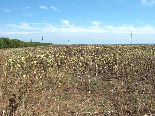Land in Bulgarevo, Kavarna