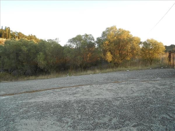 Β085 - Plot in Thesaloniki Area - 2