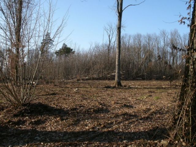Plot of land of ~5 500 m2 near Villebois - 2