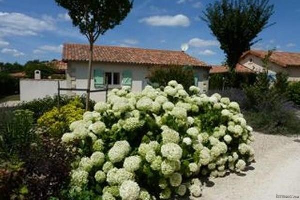 Menigoute (79)/ Reduced price. Great..