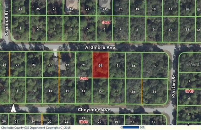 Land For Sale: 18157 Ardmore Ave, Port..