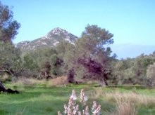 Land Property For Sale In Crete - 2
