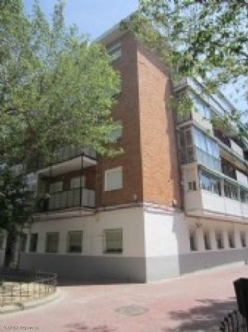 Calle Lago Erie