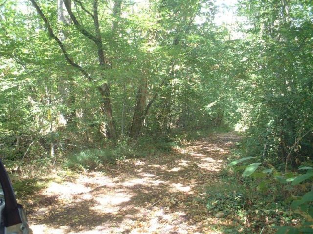 Plot of land of ~5 500 m2 near Villebois