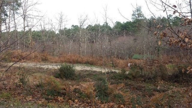 27269 - Vente - Terrain - Vergt - 2