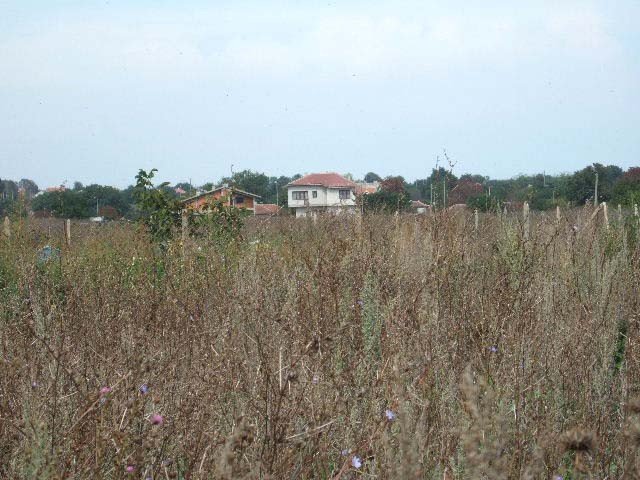 Land for sale in Krapets, Shabla