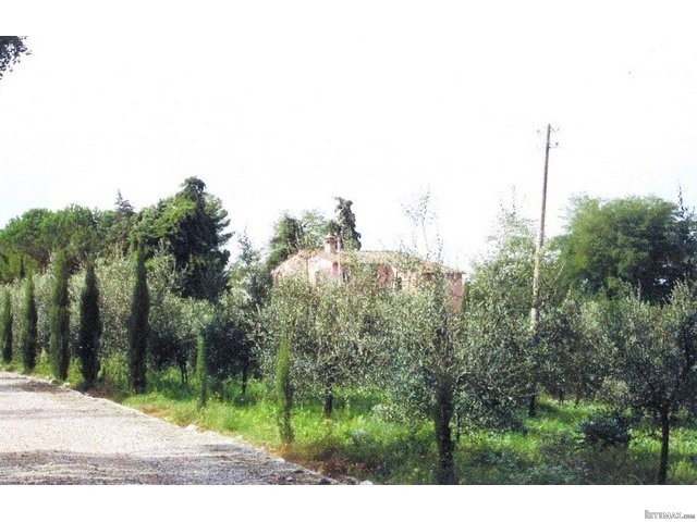 Country/farmhouse - For Sale - South of..