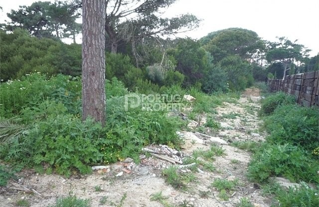 Fantastic plot with about 1900m2 in.. - 2