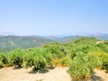 Residential Plot Of Land For Sale In..