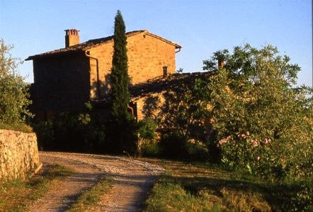 Colonica Gaiole - 2