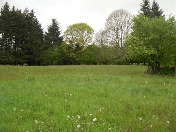 House with Guest Gite and Land - 2