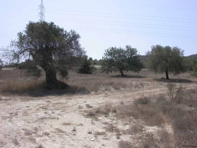 Limassol - 2