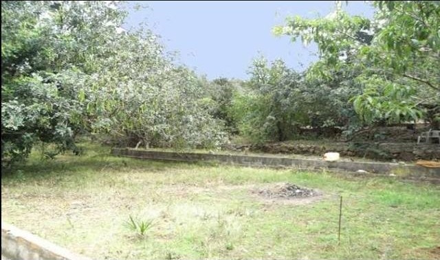 Plot For Sale Denia - Ref: 1505