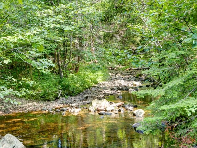 Land For Sale: Black Hole Road Black.. - 2