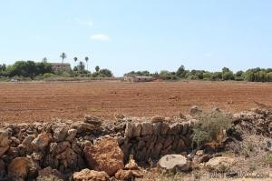 Finca near beaches that could be.. - 2