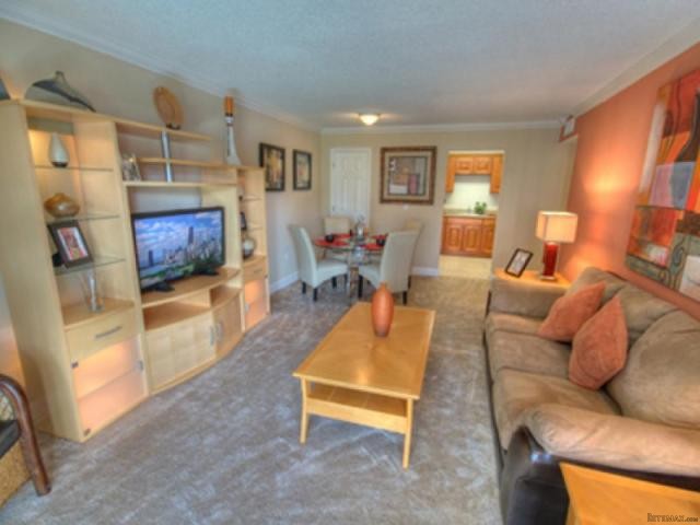 Prestigious Florida Investment Condos