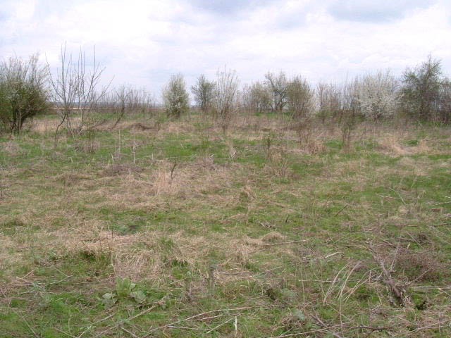 Land in Vasilevo, Kavarna - 2
