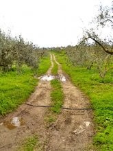 Land In Crete - 2