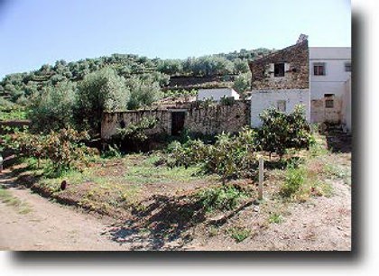 Country Houses for Sale in Sayalonga..