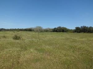 Mallorca, Artà, finca with project for.. - 2