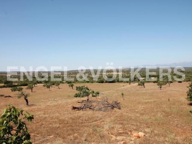 Plot with a view over the Alcudia valley - 2