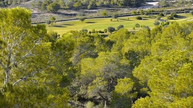 Plots for sale in Campoamor