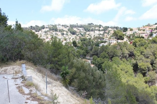 Plot in Benissa