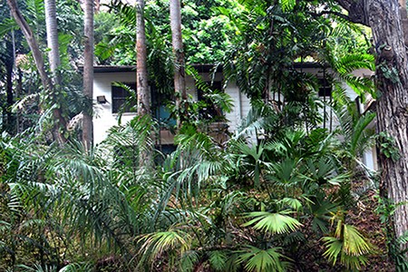 Urban Forest Lot With Duplex In Town Of..