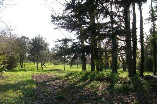 Land For Sale: 79000 BESSINES