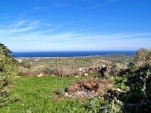 Buying Land In Crete - 2
