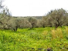Land In Crete