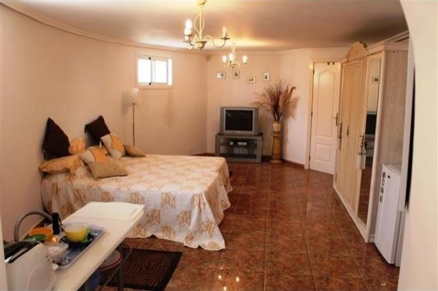 Luxury Detached Villa - 2