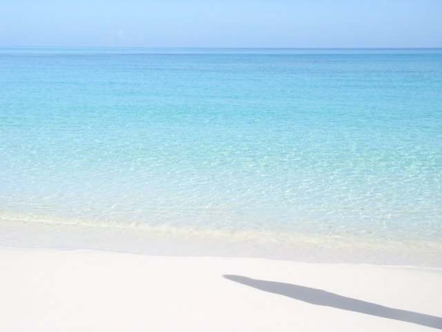 Singlefamilyvacant - This beautiful..
