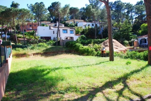 Building plot