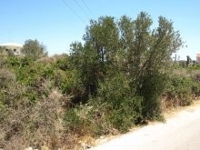 Land For Sale In Crete - 2