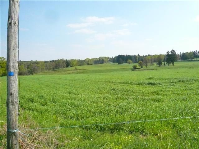 Land In The Limousin Aera - 2
