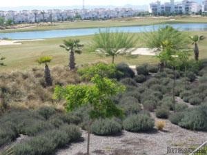 2 bedroom Town House For Sale:.. - 2