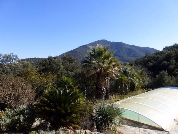 Attractive Stone Catalan Mas With Land.. - 2