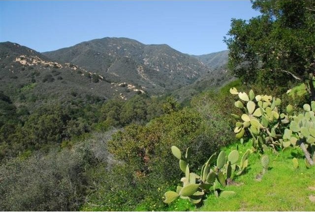 Land For Sale: 871 Park Hill Ln.. - 2