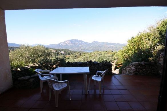 1 Bedroom - Apartment - For Sale