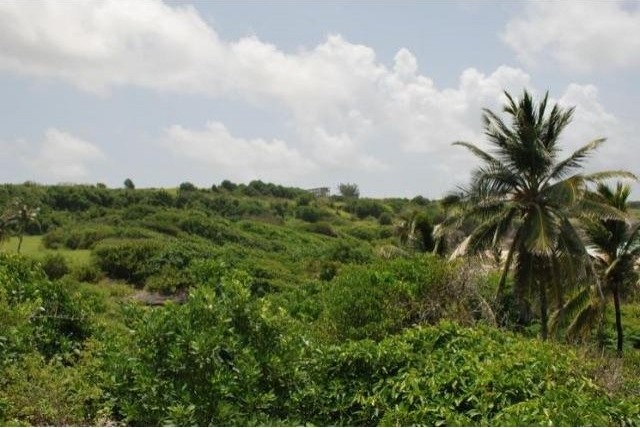 Property For Sale: Paragon Land, Christ.. - 2