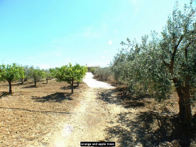 Finca for sale in Coin, Malaga, Spain