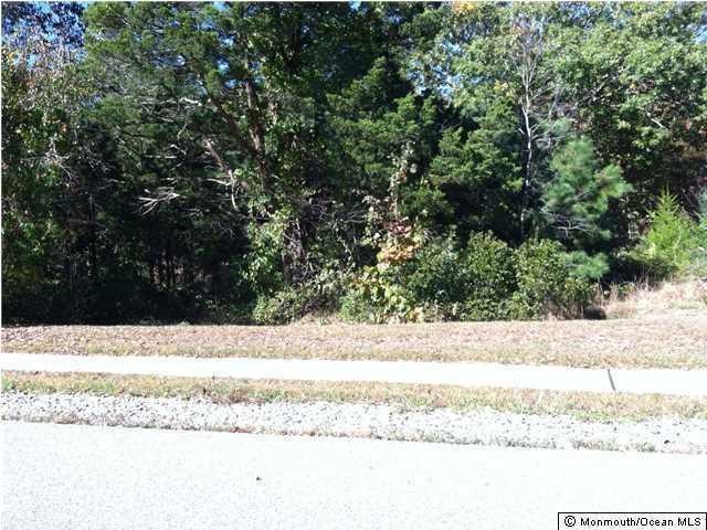 Land For Sale: 133 Pennsylvania Avenue.. - 2