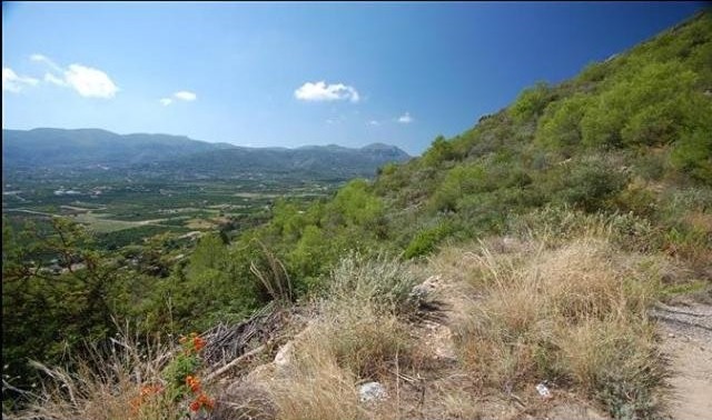 Plot For Sale Pego - Ref: 2378