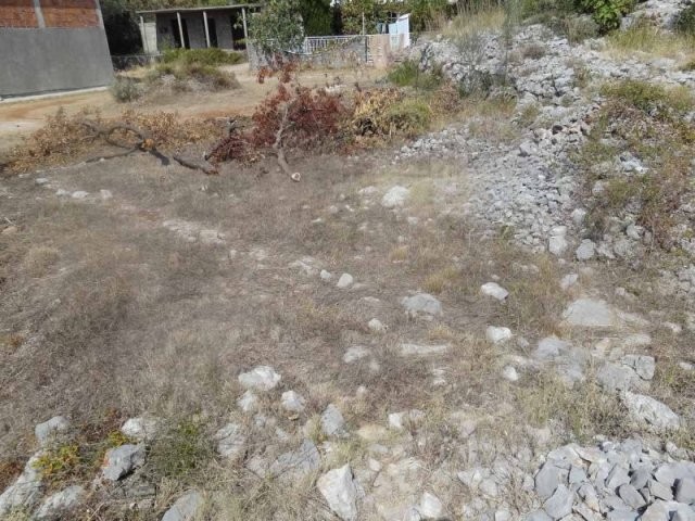 Land in Mrkovi, Luštica - 2