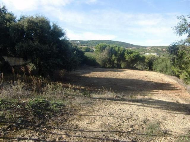 Plot For Sale: Sotogrande Alto..