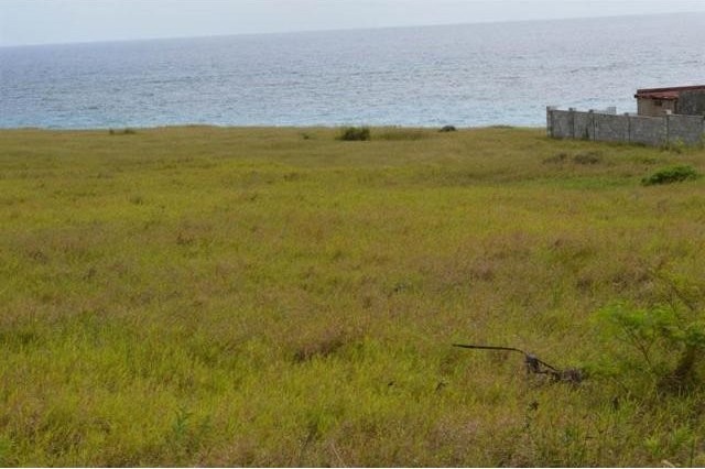 Property For Sale: Green Point, Turtle.. - 2