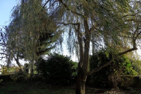 Stone House For Sale St Jean D Angely - 2